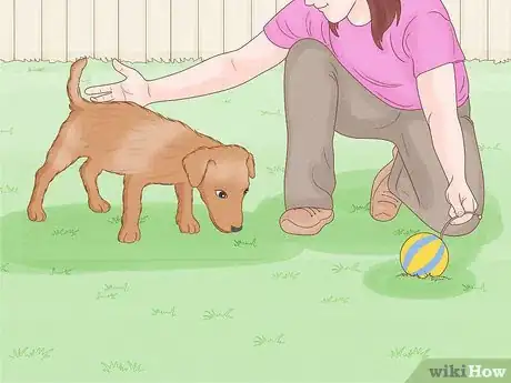 Imagen titulada Stop a Dog from Humping Step 9