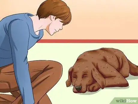 Imagen titulada Know if Your Dog Is Dreaming Step 5