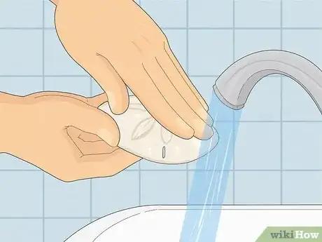 Imagen titulada Clean Sand Dollars Step 5