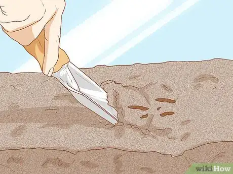 Imagen titulada Set Up a Natural Environment for Pet Snails Step 10