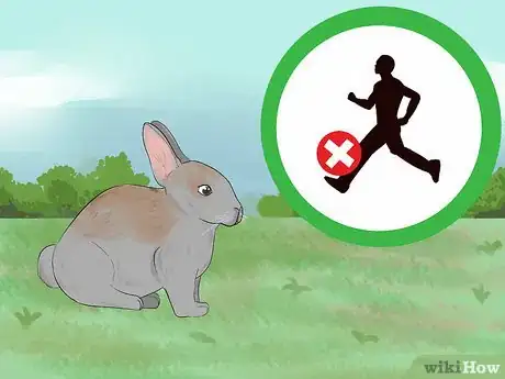 Imagen titulada Catch a Pet Rabbit Step 1