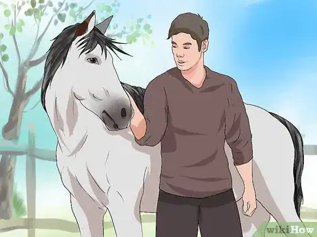 Imagen titulada Take a Horse's Temperature Step 3