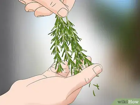 Imagen titulada Prepare Rosemary for Hair Step 3