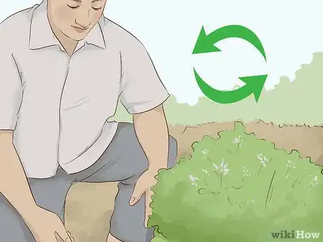 Imagen titulada Create a Rain Garden Step 17.jpeg