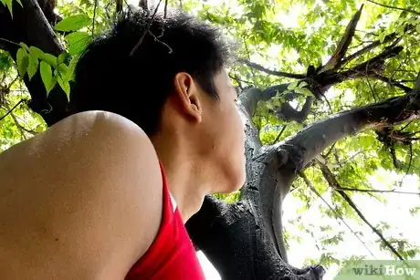 Imagen titulada Listen to Trees Communicate Step 3
