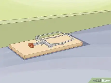 Imagen titulada Humanely Kill a Rodent Step 10
