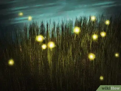 Imagen titulada Catch a Firefly Step 1