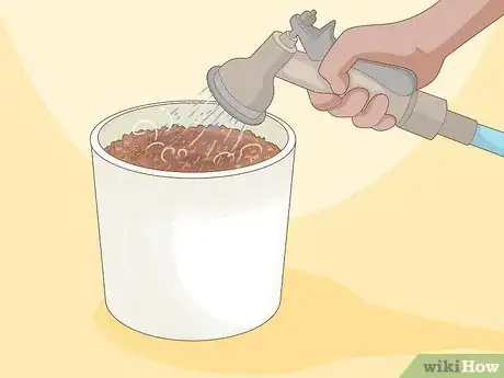 Imagen titulada Plant a Seed in a Pot Step 6