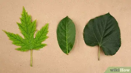 Imagen titulada Paint Leaves Step 7
