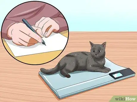Imagen titulada Get Your Cat Out of the Malnutrition Stage Step 3
