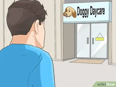 Imagen titulada Care for a Puppy when You Work Full Time Step 4