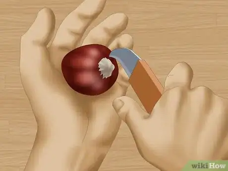 Imagen titulada Eat a Raw Chestnut Step 4