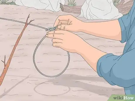 Imagen titulada Make a Coyote Trap Step 9
