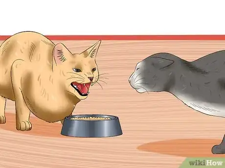 Imagen titulada Get Your Cat Out of the Malnutrition Stage Step 7