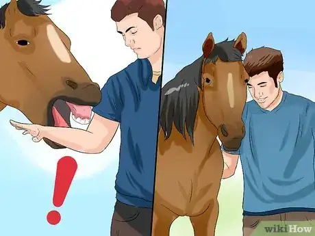 Imagen titulada Train a Horse to Respect You Step 1