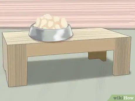 Imagen titulada Treat Acid Reflux in Dogs Step 4