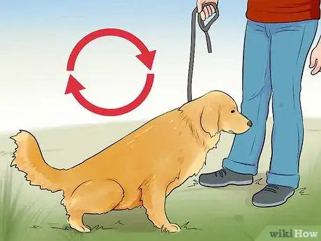 Imagen titulada Get Your Dog to Pee on Command Step 11