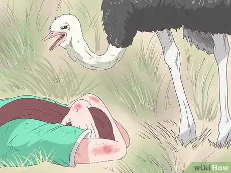Imagen titulada Survive an Encounter with an Ostrich Step 5