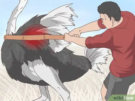 Imagen titulada Survive an Encounter with an Ostrich Step 9