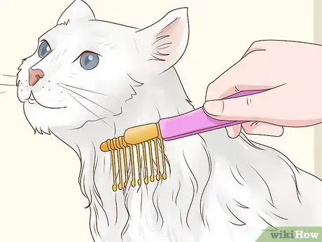 Imagen titulada Bathe a Cat Without Water Step 13