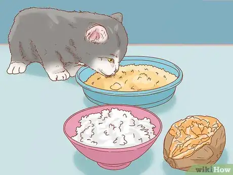 Imagen titulada Get a Kitten to Fall Asleep Step 15