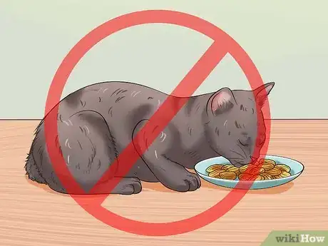 Imagen titulada Train a Kitten Step 15