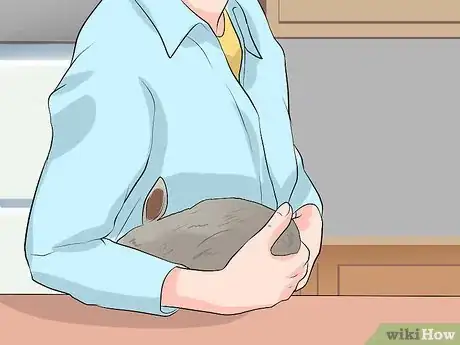 Imagen titulada Clean Your Rabbit's Ears Step 2