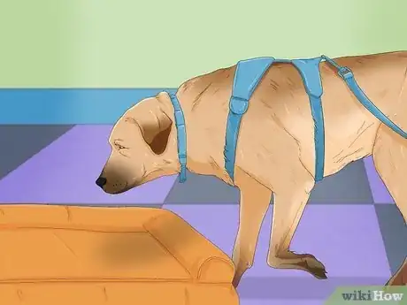Imagen titulada Make Your Dog Stop Sleeping in Your Bed Step 7
