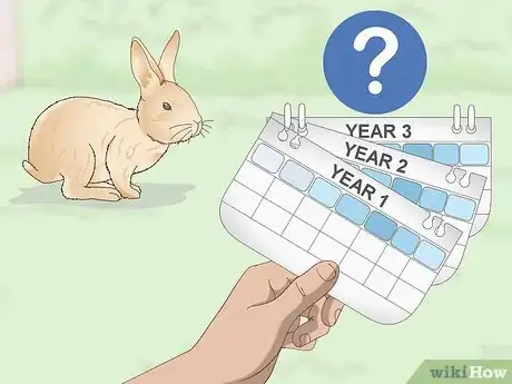 Imagen titulada Determine Whether to Have Your Rabbit Neutered Step 3