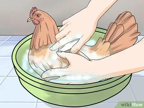Imagen titulada Take Care of Chickens Step 26