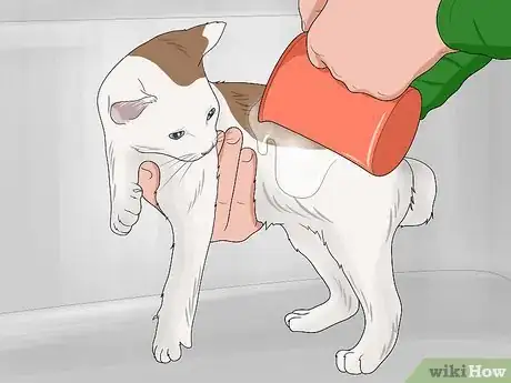 Imagen titulada Bathe a Kitten Step 11