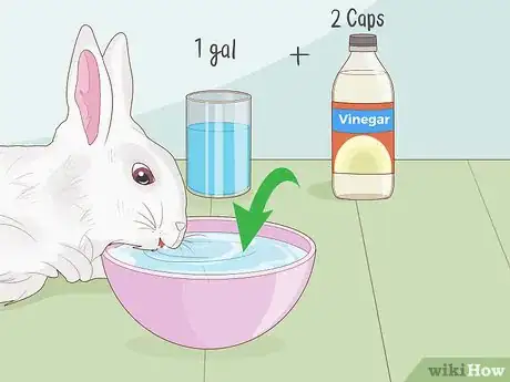 Imagen titulada Care for a New Pet Rabbit Step 14