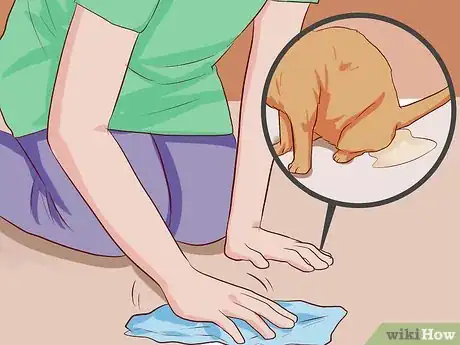 Imagen titulada Litter Train a Kitten Step 12