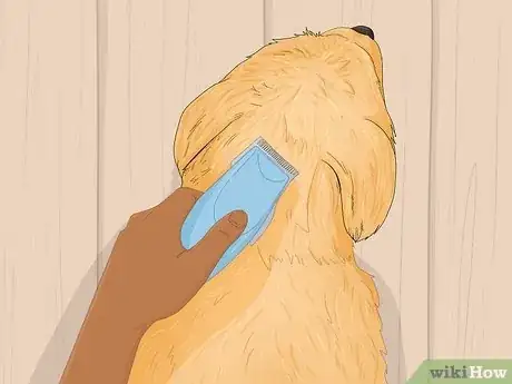 Imagen titulada Groom a Goldendoodle Step 9