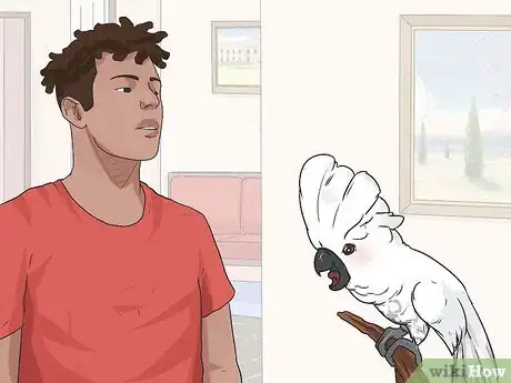 Imagen titulada Teach Your Bird to Talk Step 1