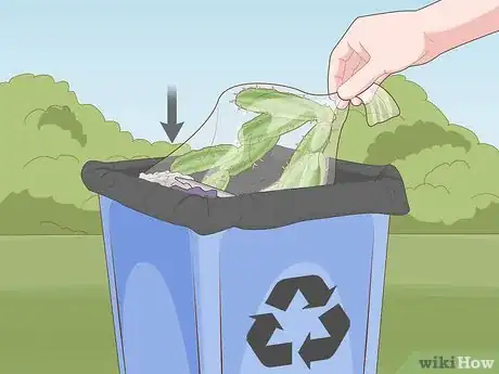 Imagen titulada Get Rid of Cactus Bugs Step 7