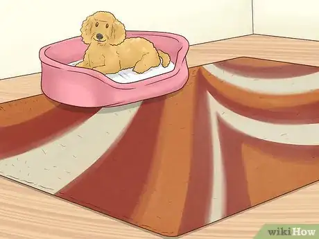 Imagen titulada Choose Carpet Color Step 8