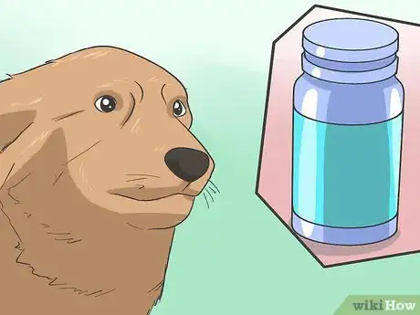 Imagen titulada Safely Sedate a Dog Step 1