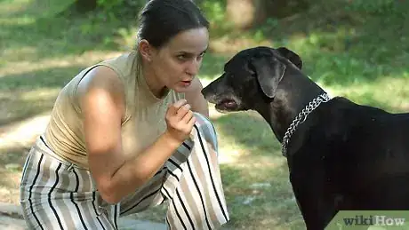 Imagen titulada Train a Dog to Give You Its Paw Step 8