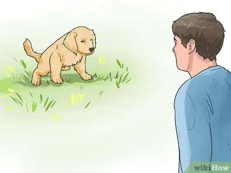 Imagen titulada Train a Golden Retriever Puppy Step 9
