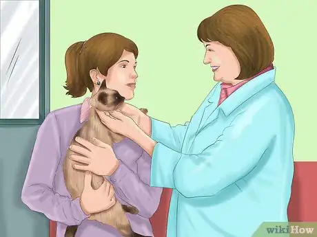Imagen titulada Decide if a Siamese Cat Is Right for You Step 11