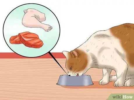 Imagen titulada Get Your Cat Out of the Malnutrition Stage Step 9