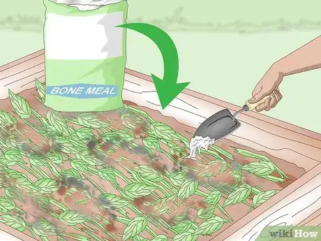 Imagen titulada Add Nitrogen to Compost Step 4