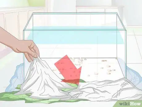 Imagen titulada Empty an Aquarium Step 4