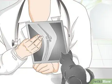 Imagen titulada Take Care of a Kitten with a Broken Leg Step 7