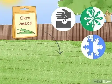Imagen titulada Grow Okra Step 1