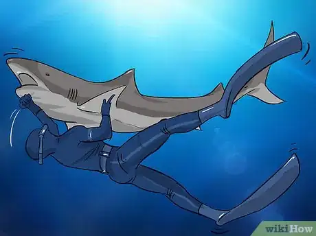 Imagen titulada Fish for Shark Step 18