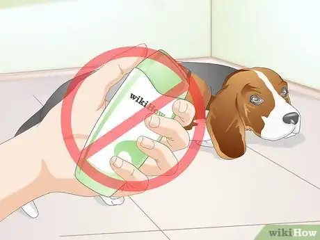 Imagen titulada Clean Gunk from Your Dog's Eyes Step 9