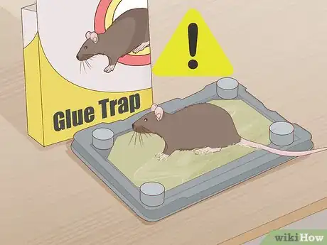 Imagen titulada Get a Mouse Out of the House Step 8