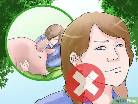 Imagen titulada Care for a Pet Pig Step 7